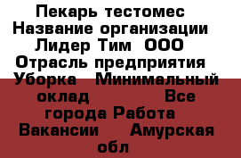 Пекарь-тестомес › Название организации ­ Лидер Тим, ООО › Отрасль предприятия ­ Уборка › Минимальный оклад ­ 30 000 - Все города Работа » Вакансии   . Амурская обл.